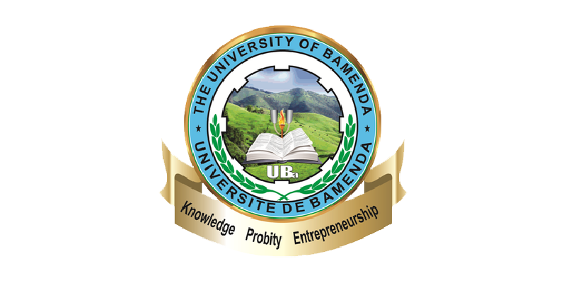 Formation IT certifiante - Université de Bamenda - ISARE - Cameroun